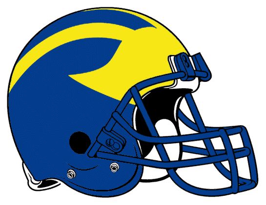 Delaware Blue Hens 2004-Pres Helmet Logo diy iron on heat transfer